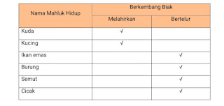 Soal dan Jawaban Tematik Kelas 3 Tema 1 Subtema 1 Pembelajaran 2 K13