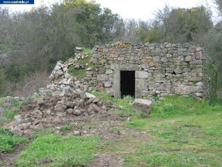 Albufeira, Barragem de Póvoa e Meadas de Castelo de Vide, Portugal (Fish)