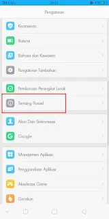 2 Cara Melihat Sisa Memori dan RAM Di HP Oppo