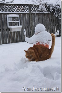 Christmas20103rdSnow2010 110