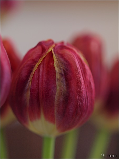 P3160590