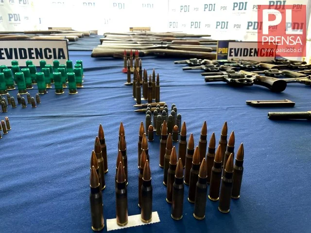 Armas y cartuchos recuperados