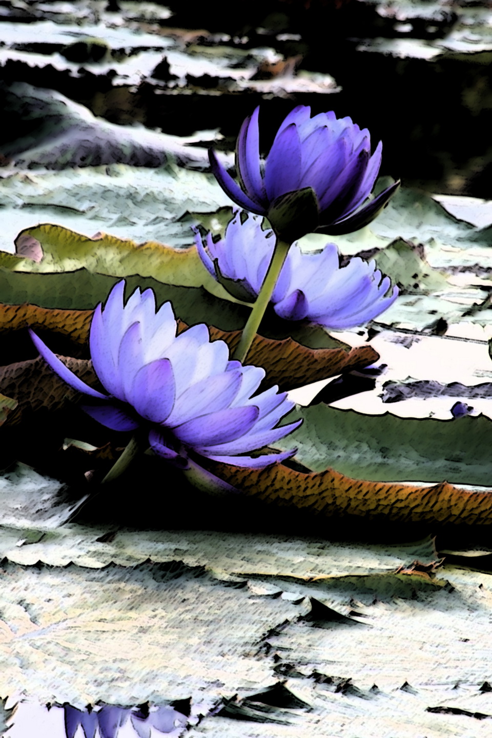 purple and green wedding