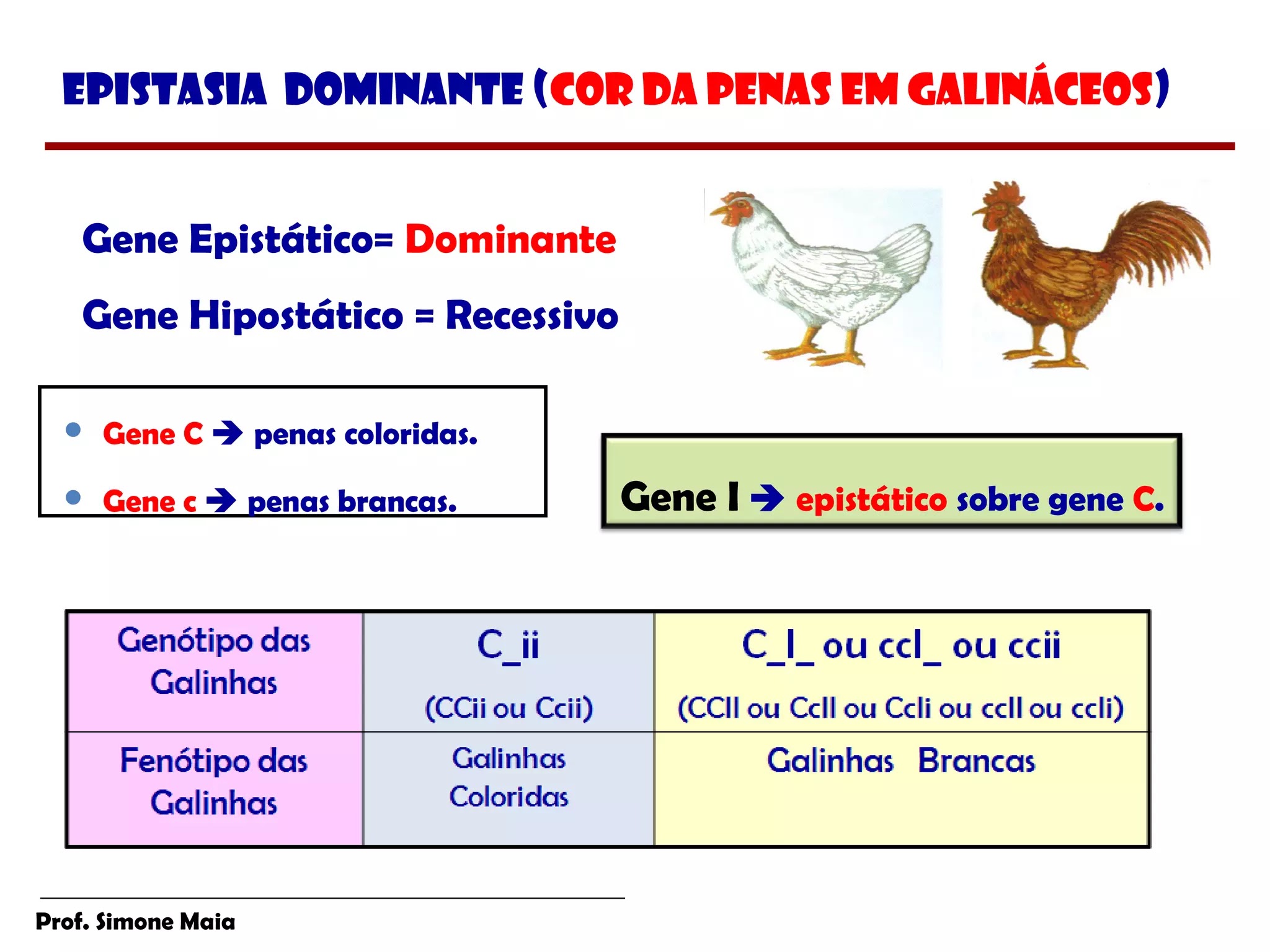 GENÉTICA PÓS MENDEL