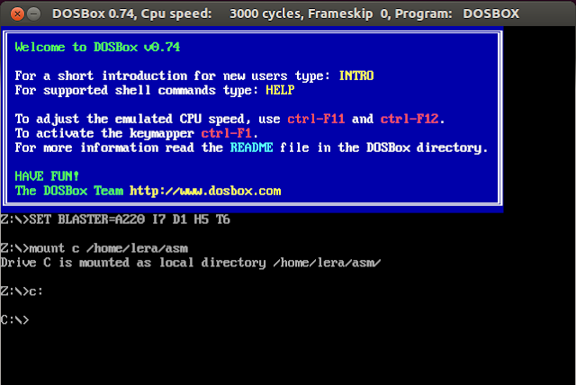Окно DOSBox с приглашением в Ubuntu 12.10