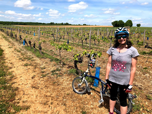 French Village Diaries the beauty of freedom, one week post confinement cycling Charente-Maritime vineyards