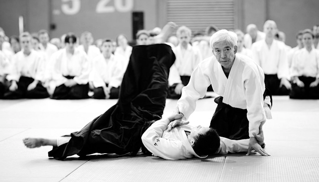 source: https://www.flickr.com/photos/belgianaikikai/30099232744/in/album-72157676039558805/