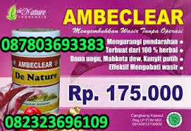 paket obat wasir atau ambeien paket I