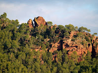 Detalls de les roques de la Serra de Can Valent