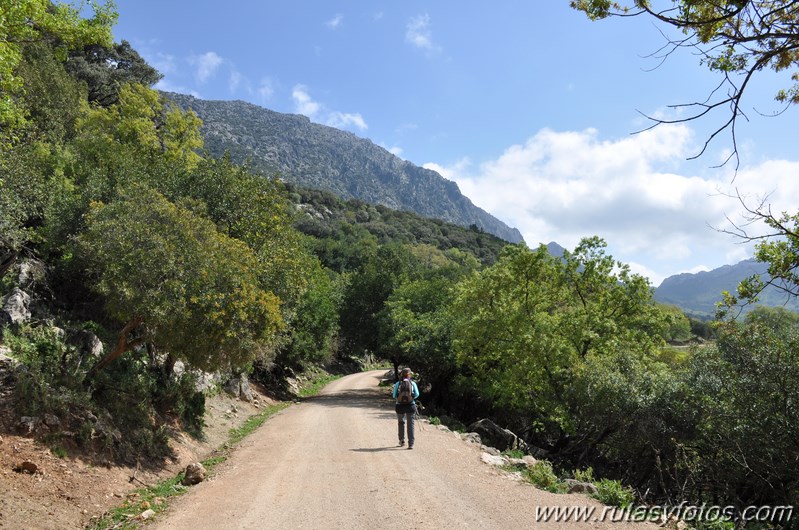 Llanos del Campo - Tesorillo - Cerro del Granadillo - Cerro de las Cuevas - Llanos del Berral