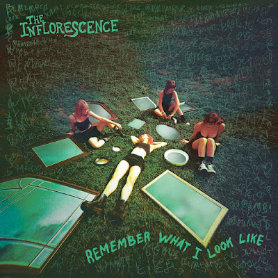 Remember What I Look Like The Inflorescence Album