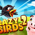 Crazy Birds 2