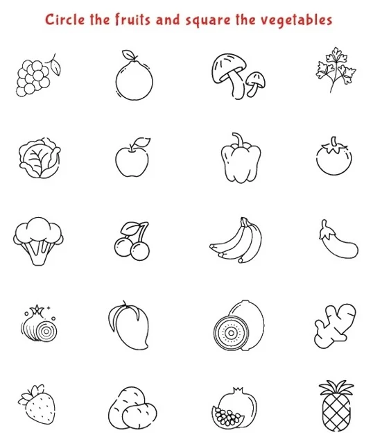 Nursery GK Worksheet