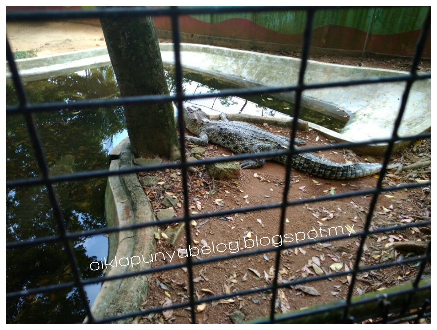 Taman Buaya dan Reakresi, Melaka : Tempat beriadah terbaik untuk seisi keluarga. Sambil beriadah, sambil tengok buaya!