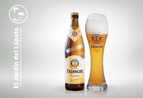 Erdinger Weissbier, en su vaso de cerveza de trigo alemana