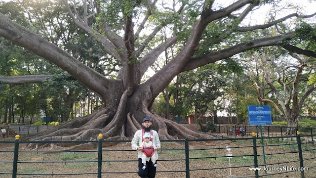 Lalbagh Botanical Garden – A must visit place in Bangalore