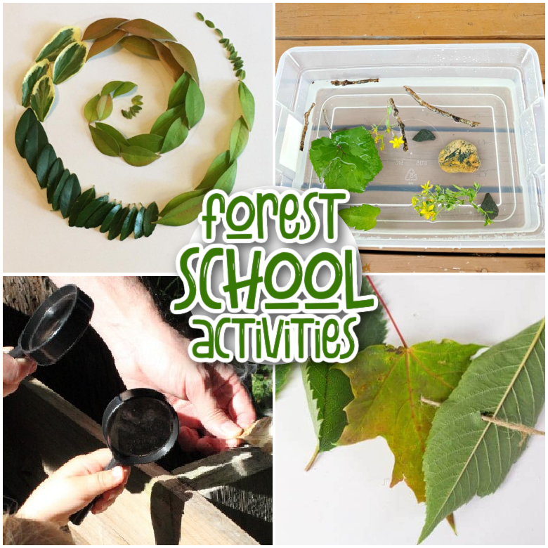 Outdoor learning forest school activities