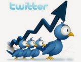 Auto Followers Twitter November 2013