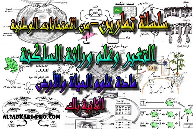 تحميل سلسلة تمارين التغير وعلم وراثة الساكنة -من الامتحانات الوطنية- للسنة الثانية باك , درس , ملخص , تمارين , امتحانات وطنية علوم الحياة والارض , علوم الحياة والارض , فروض علوم الحياة والارض , الثانية باك , بكالوريا , دروس اونلاين