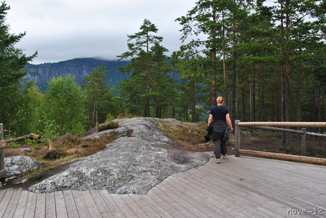 Bjørneparken 118