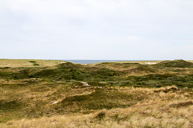 Dünen Ecomare auf Texel