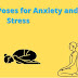 Best yoga poses for anxiety and stress- Most Effective Asanas