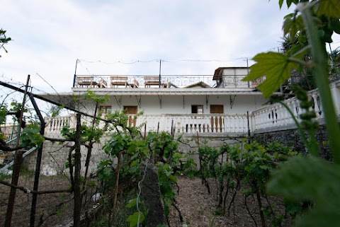 Guesthouse Mele  ( Gjirokaster  )