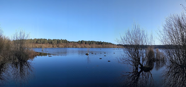 Blackmere Moss lake at Delamere parkrun