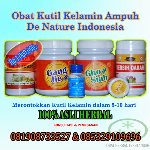 Obat kutil kelamin