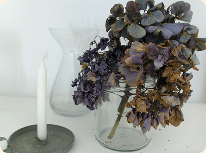 Hortensia