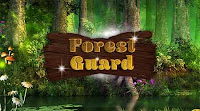 Hidden 247 Forest Guard