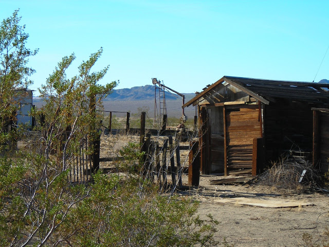 Mojave National Preserve