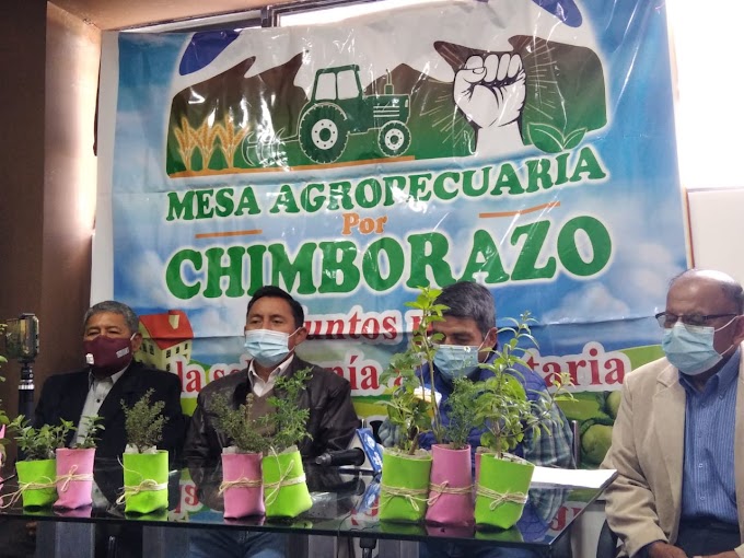 Moradores de Barrios de Riobamba podrán adquirir plantas a cambio de diferentes productos por la festividad de Navidad 