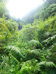 kawasan osmena traverse