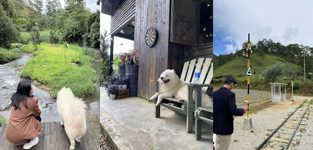 dalat camp