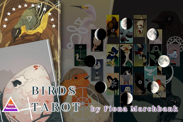 Birds Tarot by Fiona Marchbank - Art & Mancias in Tres Mancias Consultancy