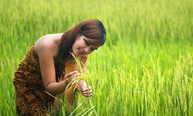 TUALANG Saatnya Gadis Turun Ke Sawah