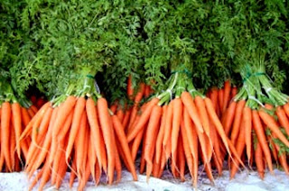 Carrots Plants