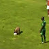 Police Dog Steals Soccer Ball