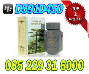 JUAL KIANPI PIL BANDUNG