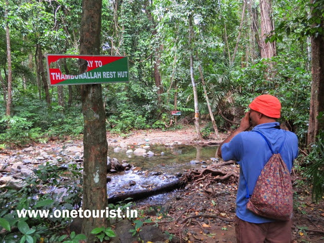 saddle peak photos andaman