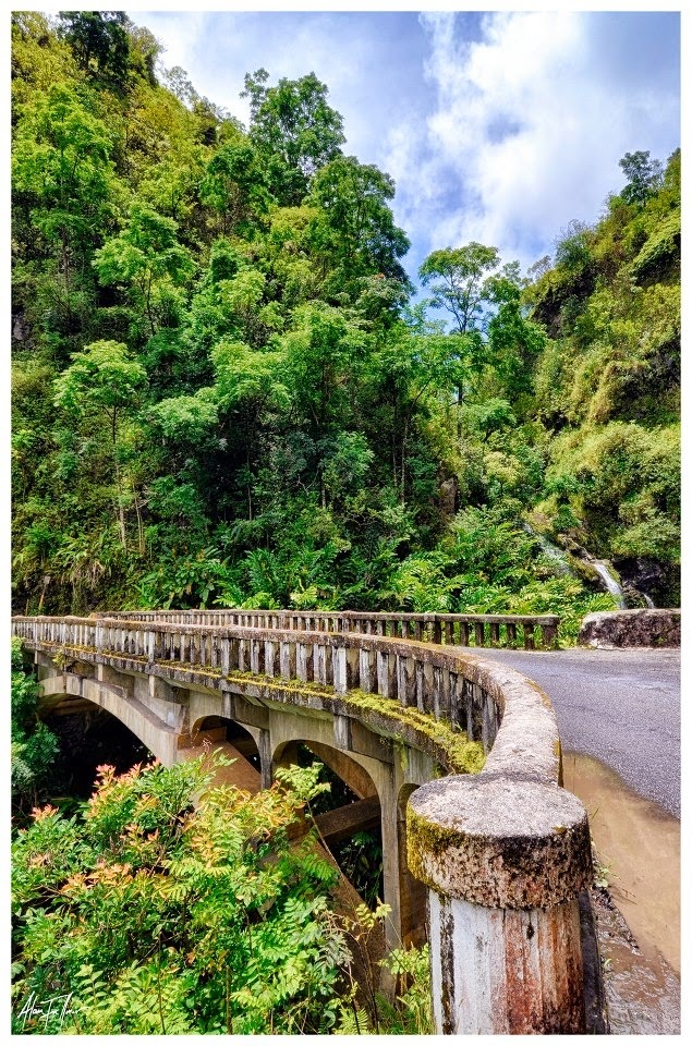 Sizzling Tourist Hotspots in Hawaii | The Road to Hana, Maui, Hawaii.This was the scarest car ride