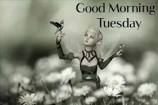 Good morning happy Tuesday