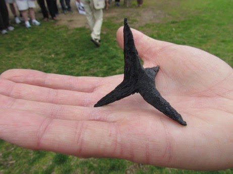 HistoricJamestownwithArchaeariumMuseum-26-2015-04-15-21-30.jpg
