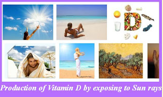 WHICH SUN RAYS PRODUCE VITAMIN D? 2023