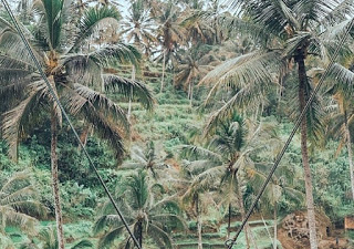 Yuk Berwisata Ke Objek Wisata Ayunan Instagramable di Bali.