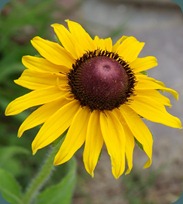 IMGP0302