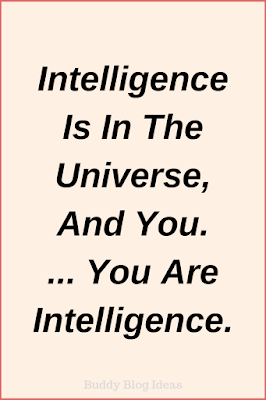 Universal intelligence and you - buddy blog ideas