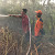 Pemilik Lahan Terlibat, Kebakaran Hutan dan Lahan di Sekadau Semakin Mengancam