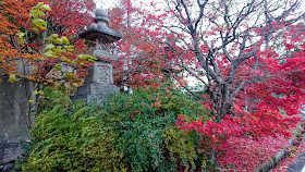 京都 柳谷観音 柳谷聖苑 紅葉